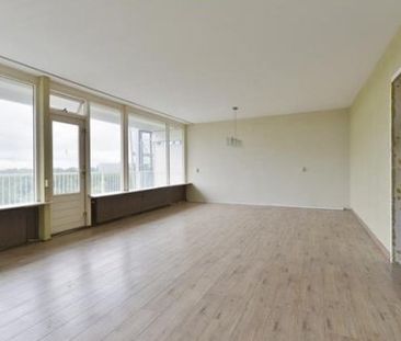 Perim 0ong, 1503 Zaandam, Nederland - Foto 1