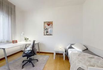 Via Cernaia, Padova, Veneto 35141