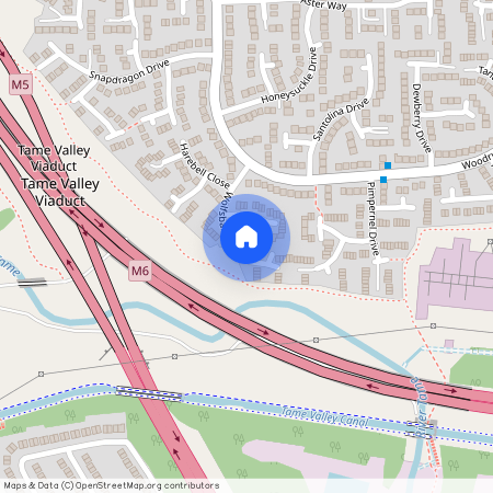 Wolfsbane Drive, Walsall