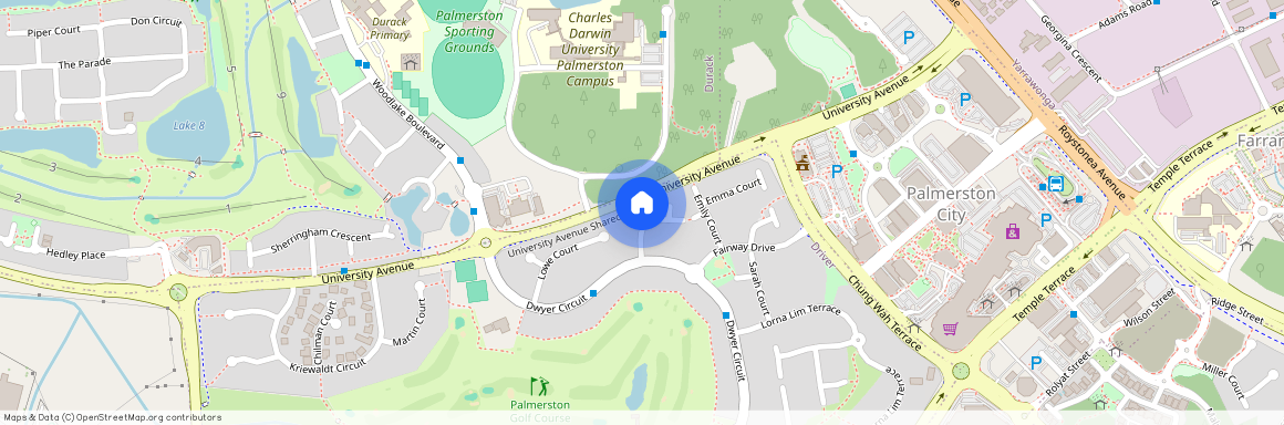 2 Christina Court, Driver, NT 0830