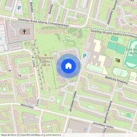 ul. Abrama Koplowicza, Widzew Wschód, Widzew, Łódź, łódzkie