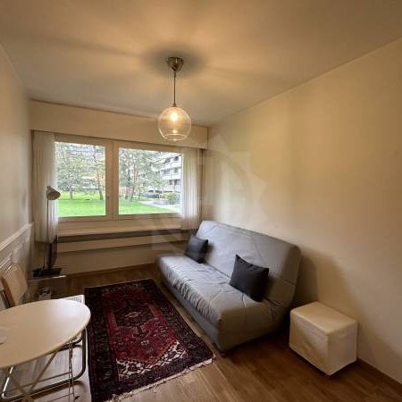 Charmant Appartement - Genève - Photo 1