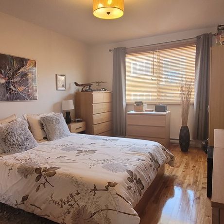 4 1/2 Haut De Plex -Mai Ou Juin 2026 - Photo 1