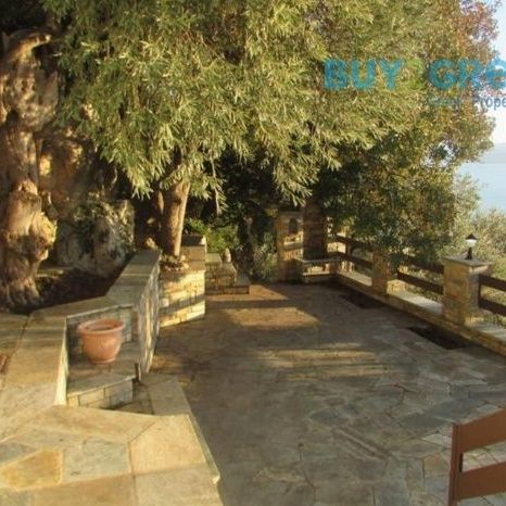 Μεζονέτα για ενοικίαση Σηπιάδα - Photo 1