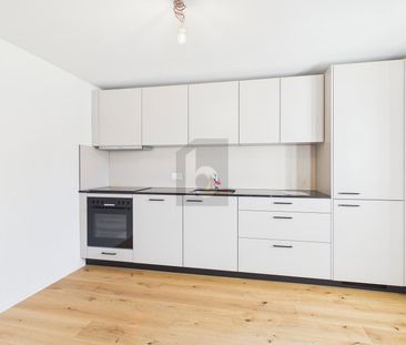5.5 Zimmer, 115 m², 1. Stock - Foto 2