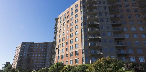 4 1/2 - Ste-Foy - immeuble de prestige - janvier ou juillet - Photo 2