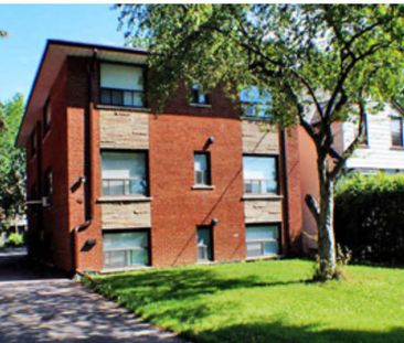 For Lease - 46 Hay Avenue Unit# 1 bedroom unit, Toronto, Ontario - Photo 3