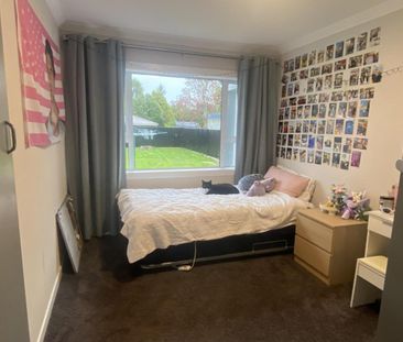 Adamson Cres - Photo 4