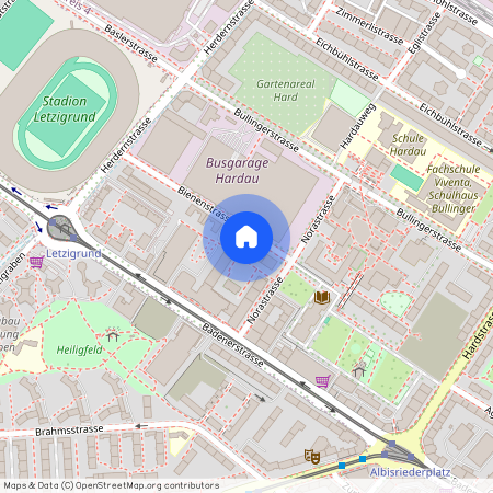 Bienenstrasse 5, 8004 Zurich, Bienenstrasse 5