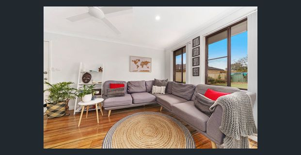 Small Complex - Photo 1