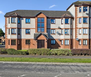 Muirhead Avenue - Photo 6