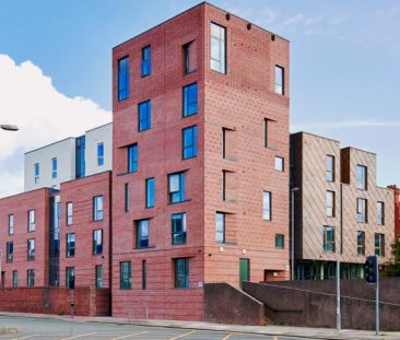 Gold Studio - Photo 6