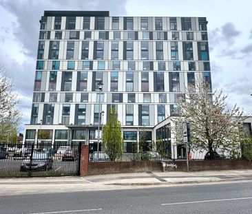 Flat share to rent - Photo 4