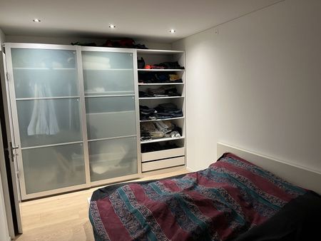 21/2-ROOM APARTMENT IN ZURICH - DISTRICT 2 WOLLISHOFEN, FURNISHED, TEMPORARY - Photo 2