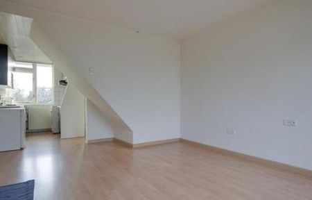 Briljantlaan 3523 CD Utrecht - Photo 5