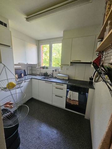 3 ROOM APARTMENT IN ZURICH - KREIS 4 LANGSTRASSE, FURNISHED, TEMPORARY - Foto 5