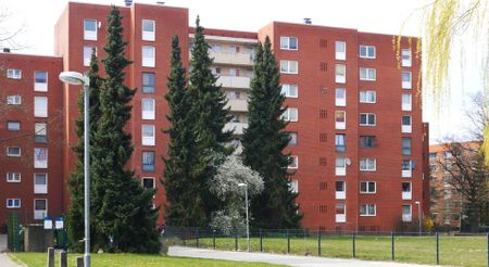 Graf-von-Moltke-Straße 6, 21337 Lüneburg - Foto 4