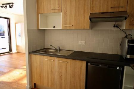 Appartement T1 avec terrasse loué Meublé avec cave et parking - Photo 3