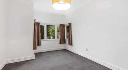 Handy in Hataitai - Photo 3