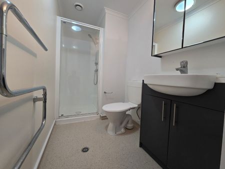 2 Bedroom Te Aro - Photo 5