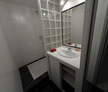 Location Appartement 1 pièce 30m² NICE 06000 - Photo 3