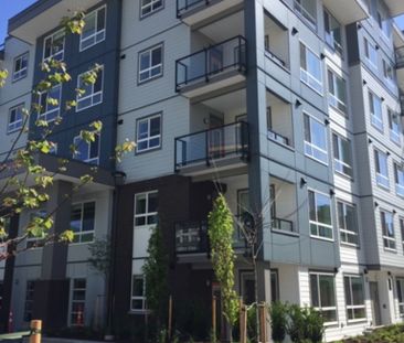 CINEMA APTS - 502A - C502A - Photo 2