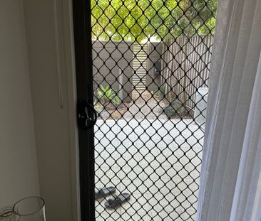 Springfield - Photo 4