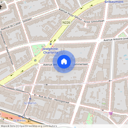 Avenue des Ombrages, 1200, Woluwe-Saint-Lambert