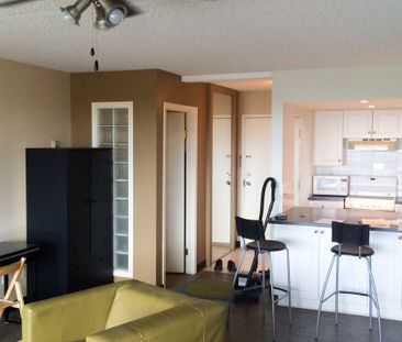 1 Br Condo In Downtown W City & River Views/ Heat & Water Incl. - Photo 2