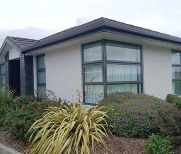 TIDY TENANTS WANTED - Photo 3