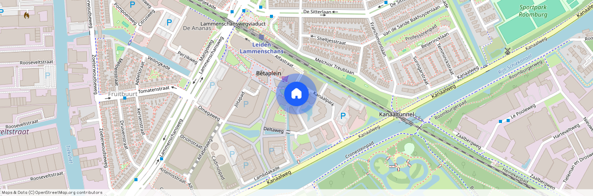 Betaplein, 296, Leiden