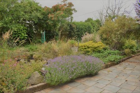 4 bedroom house share to rent - Photo 3