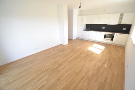 Liebenau – 63m² – 3 Zimmer – großer Balkon – inkl. TG Platz - Photo 2