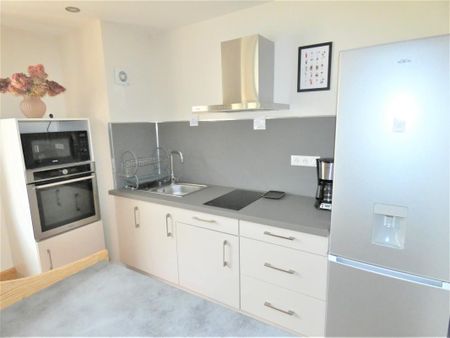 Location Appartement T2 55m² Aix Les Bains - Photo 3