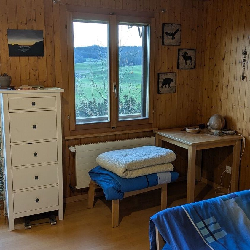 MAISON DE 4 PIÈCES À ROHRBACHGRABEN (BE), MEUBLÉE, TEMPORAIRE - Photo 1