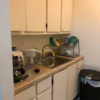 1 BED-RM STUDIO RENTAL /Kitsilano/Greektown/CAT FRIENDLY - Photo 4