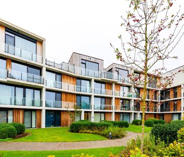 Wonen in een groene omgeving vlak bij het centrum van Beveren - Photo 2