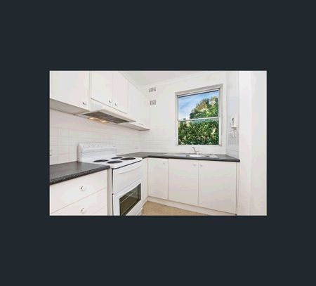 15 Reed St, Cremorne, NSW 2090 - Photo 3