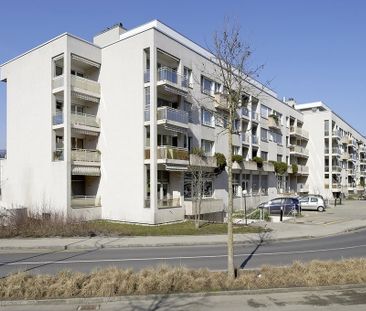 2.5 Zimmer, 59 m², 3. Stock - Photo 1
