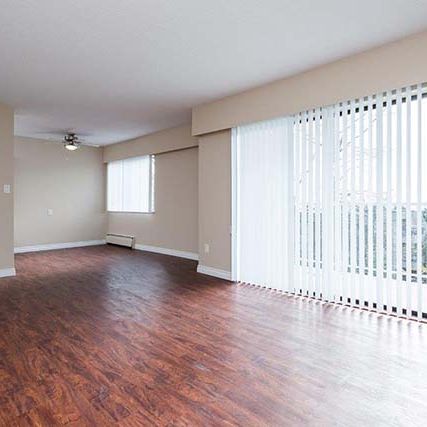 Daylin Manor Apartments - 1 Bedroom - Photo 1