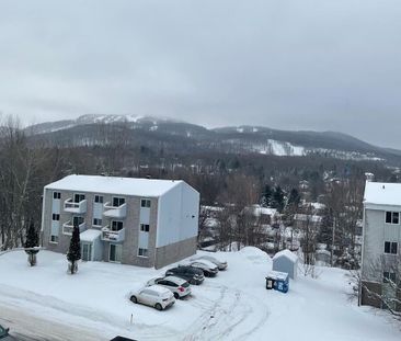 51/2 Bromont, Frig. Lave Remise Et Stati - Photo 1