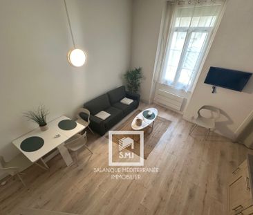 Location Appartement 1 pièce 21m² PERPIGNAN 66000 - Photo 2