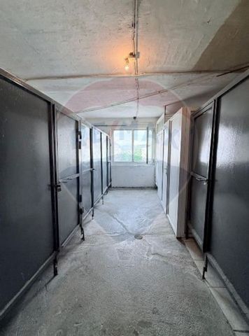 Garconiera de inchiriat-zona Lazaret - Photo 5