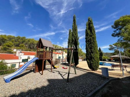 Olivella - Photo 2