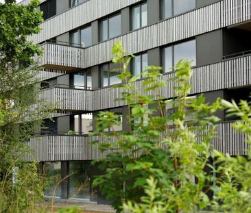 Hier endet Ihre Wohnungssuche - Foto 3