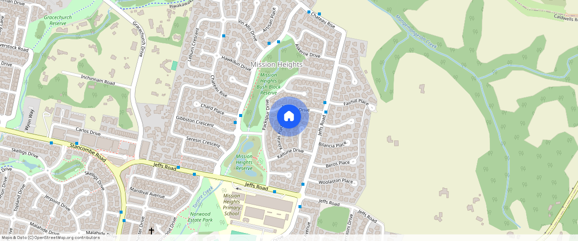 ** Kouras Place, Flat Bush, Manukau City