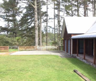 Ranch Style Te Puna Country Home - Te Puna - Photo 4