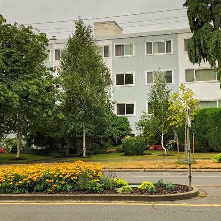 Single Bedroom Apartment in Well-Maintained Building - Photo 2