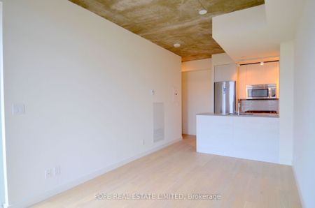 One Eleven Condos and Lofts , #513 - Photo 5