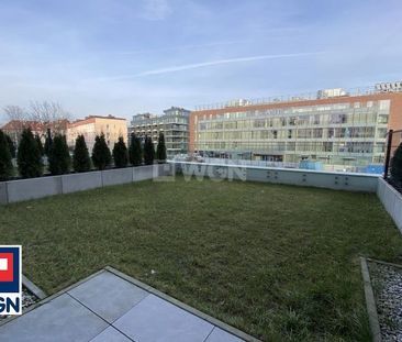 Mieszkanie na wynajem Szczecin - Crocus Hill 2 pokoje z ogródkiem - Photo 5